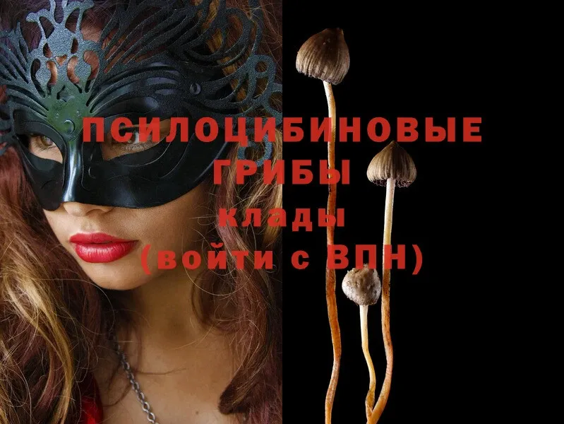 Галлюциногенные грибы Magic Shrooms  Алдан 